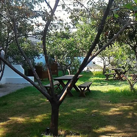Iz Birak Butik Marina فندق