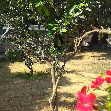 Hotel Iz Birak Butik Marina *